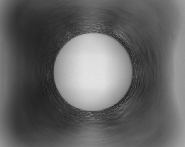 X0000089381298200706150903