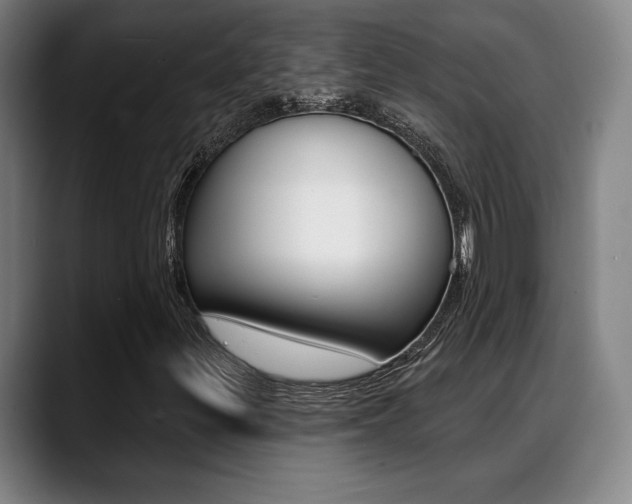 X0000089381299200706150903