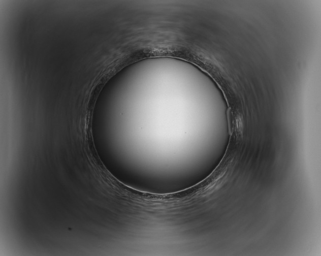 X0000089381300200706150903