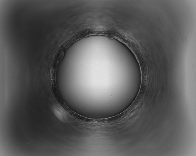 X0000089381301200706150903