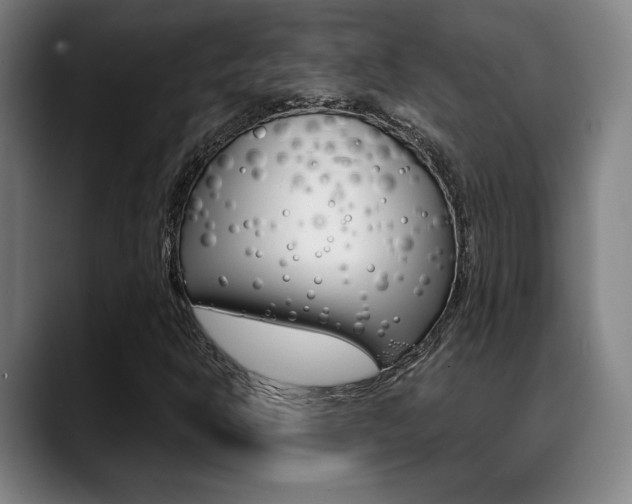 X0000089381302200706150903