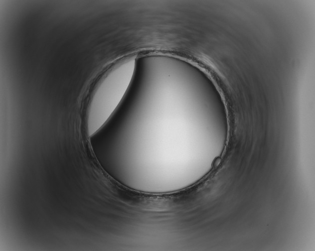 X0000089381307200706150903