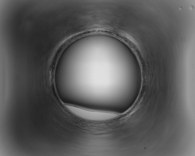 X0000089381310200706150903