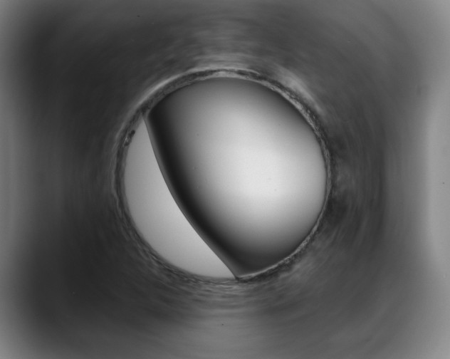 X0000089381312200706150903