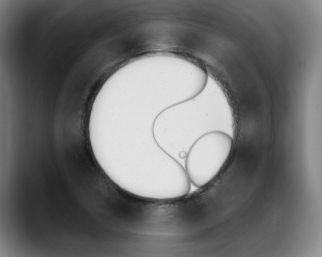 X0000089381314200706150903