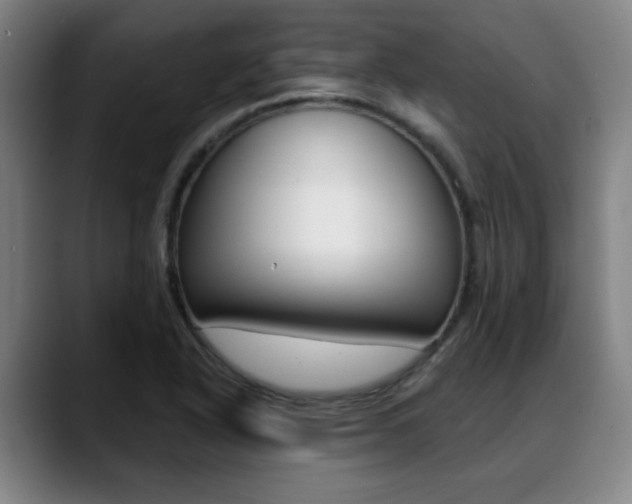 X0000089381318200706150903