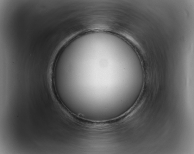 X0000089381325200706150903
