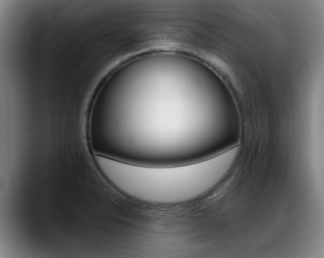 X0000089381326200706150903