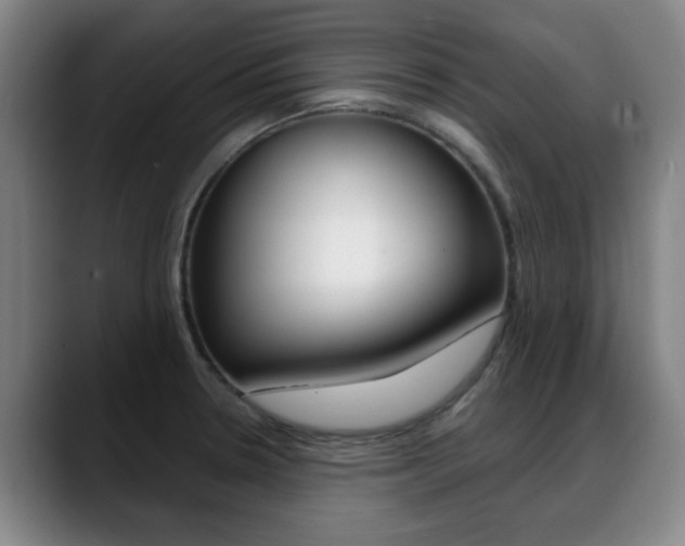 X0000089381330200706150903