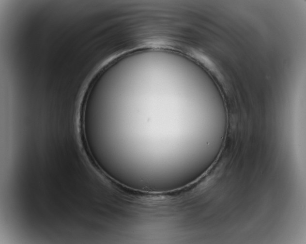 X0000089381331200706150903