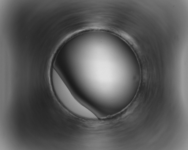 X0000089381334200706150903