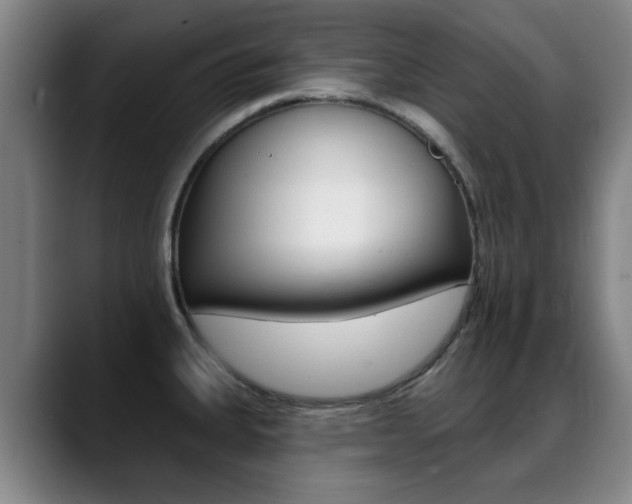 X0000089381335200706150903
