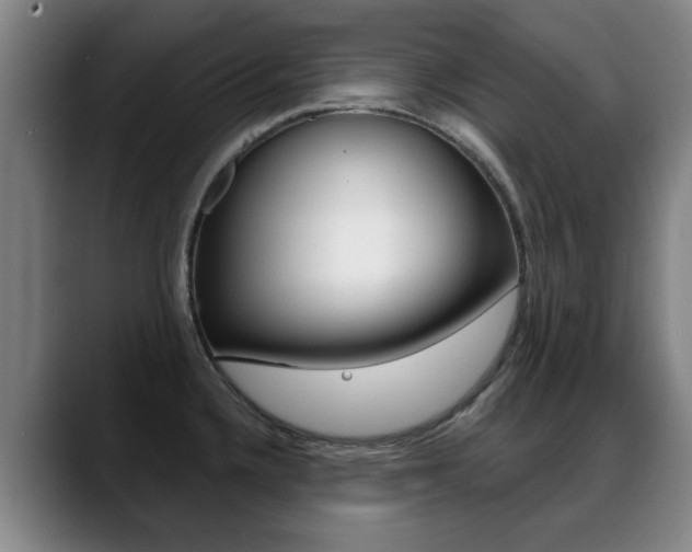 X0000089381336200706150903