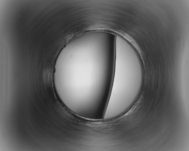 X0000089381337200706150903