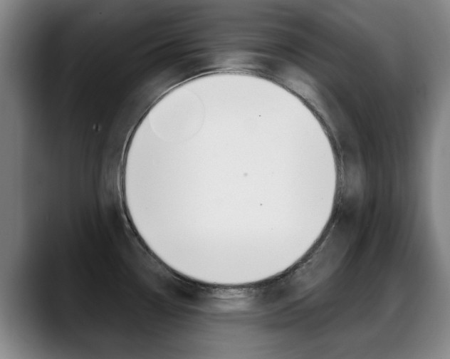X0000089381338200706150903
