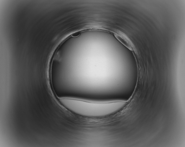X0000089381339200706150903