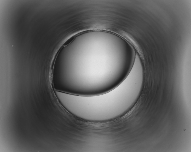 X0000089381340200706150903
