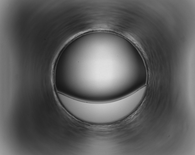 X0000089381342200706150903