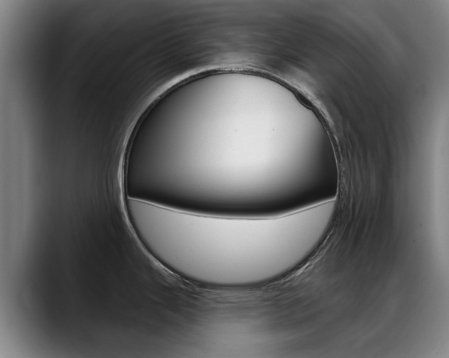 X0000089381343200706150903