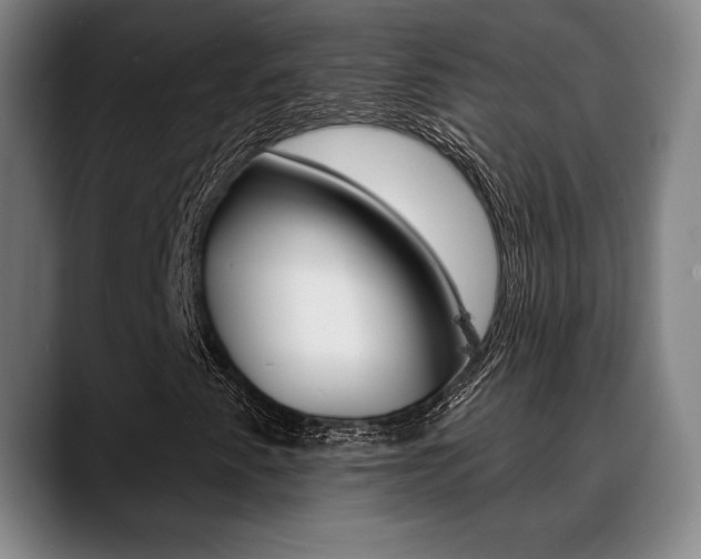 X0000089381345200706150903