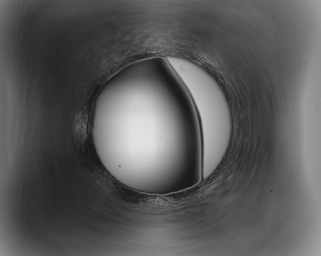 X0000089381348200706150903
