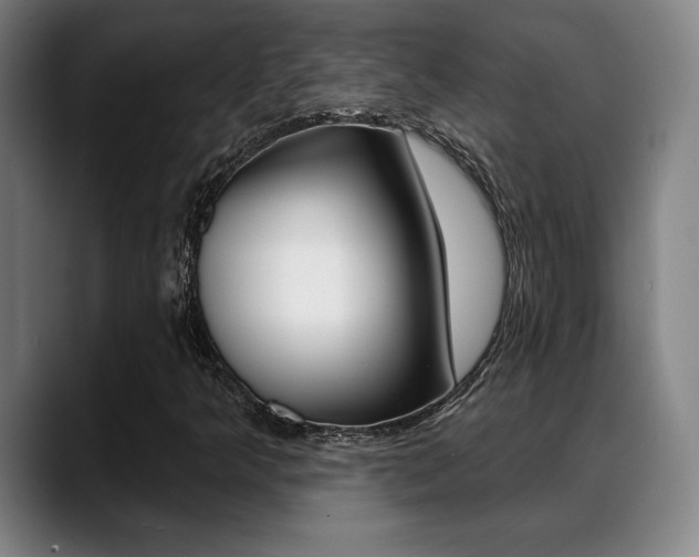 X0000089381349200706150903