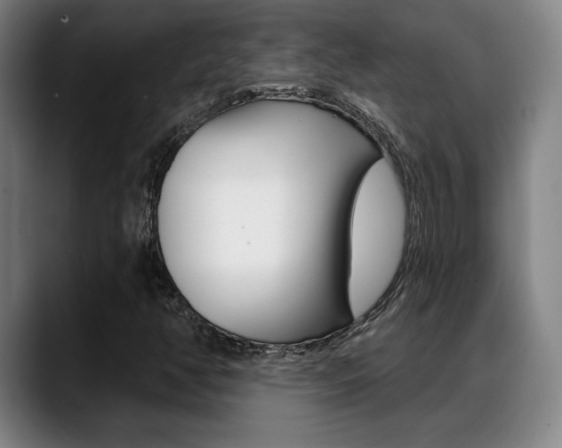 X0000089381350200706150903