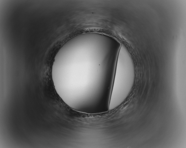 X0000089381351200706150903