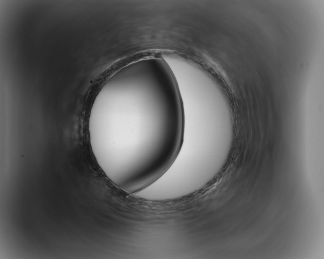 X0000089381352200706150903