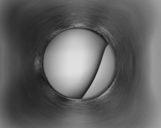 X0000089381353200706150903