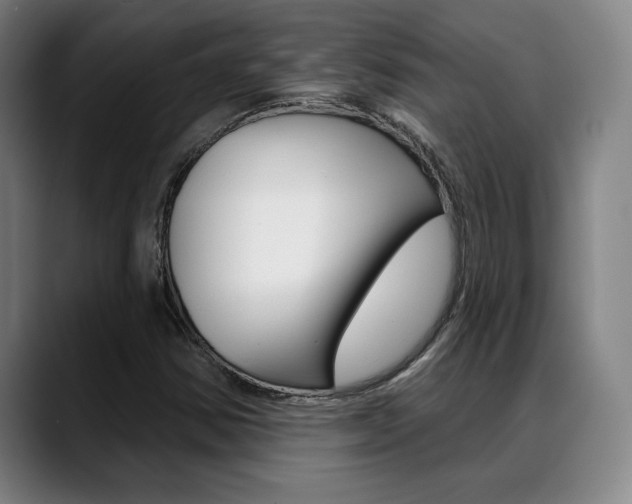 X0000089381354200706150903