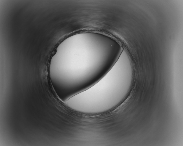 X0000089381355200706150903
