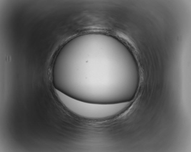 X0000089381357200706150903
