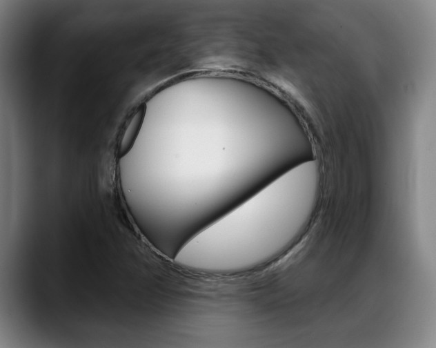 X0000089381358200706150903