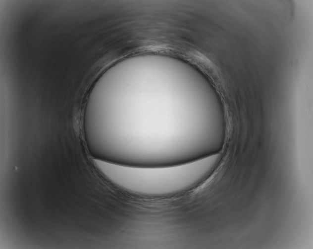 X0000089381361200706150903