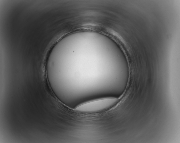 X0000089381362200706150903