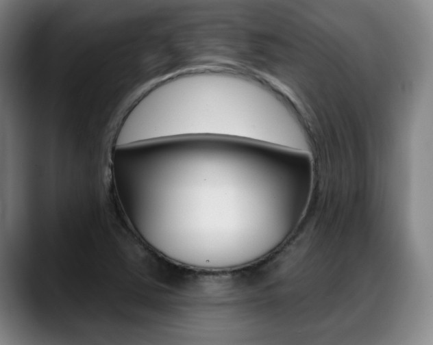 X0000089381363200706150902