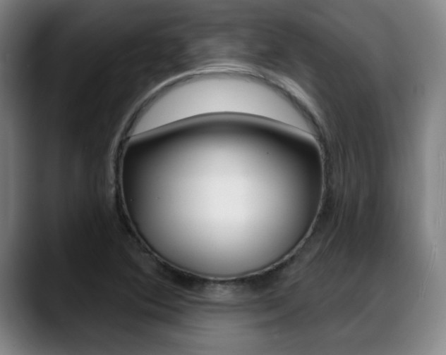 X0000089381364200706150902
