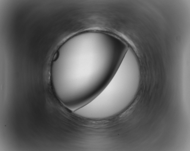X0000089381367200706150902