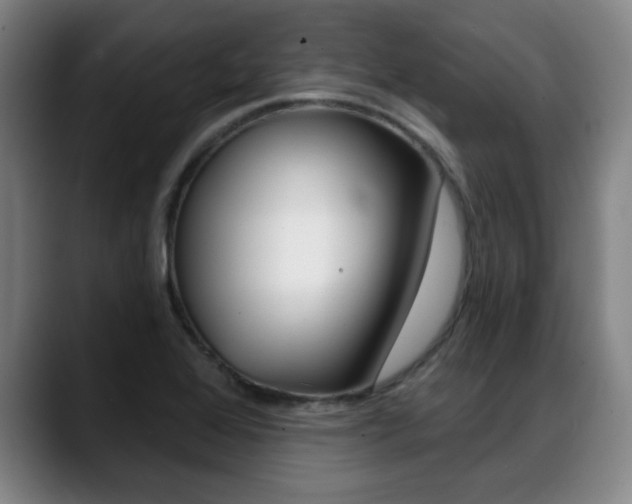 X0000089381368200706150902