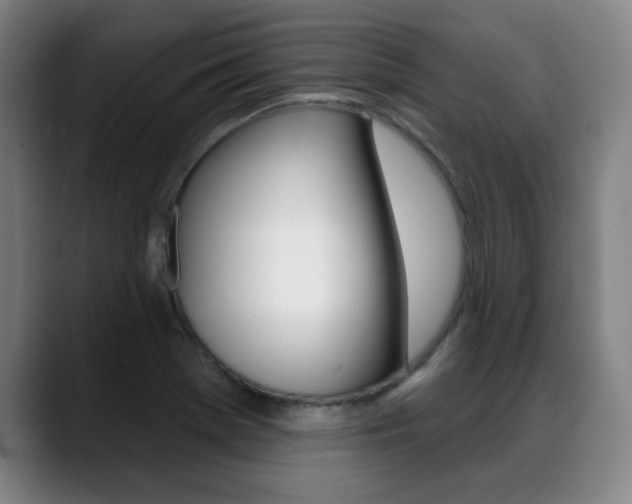X0000089381369200706150902