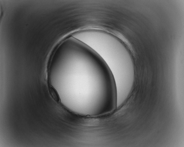 X0000089381372200706150902