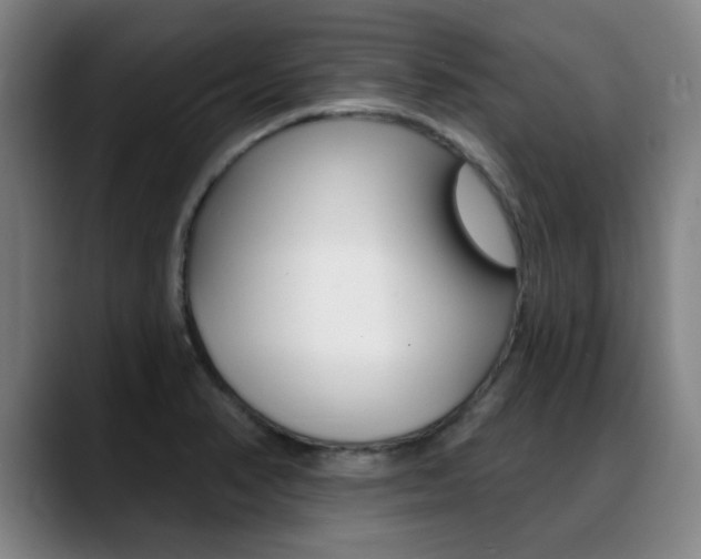 X0000089381374200706150902
