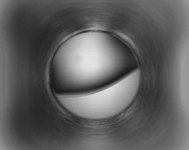X0000089381375200706150902