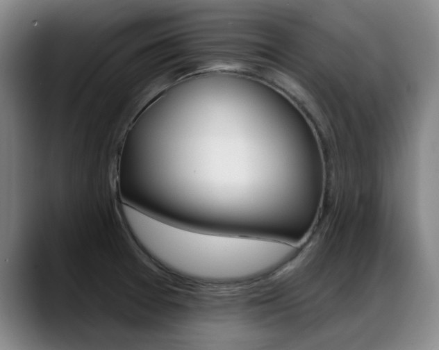 X0000089381377200706150902