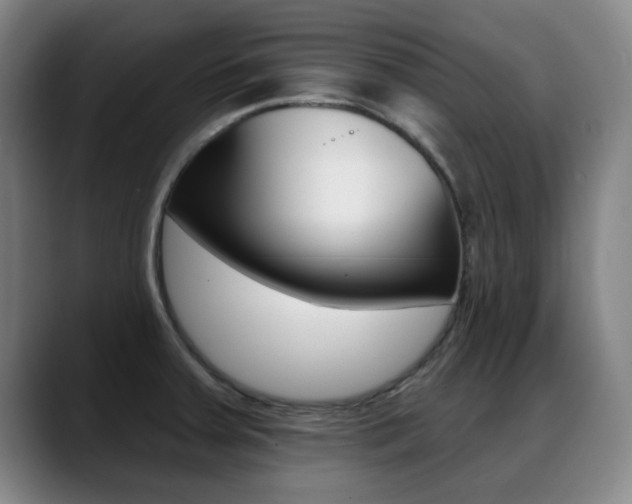 X0000089381379200706150902