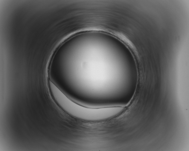 X0000089381380200706150902