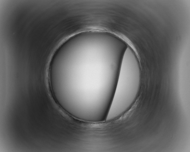 X0000089381381200706150902