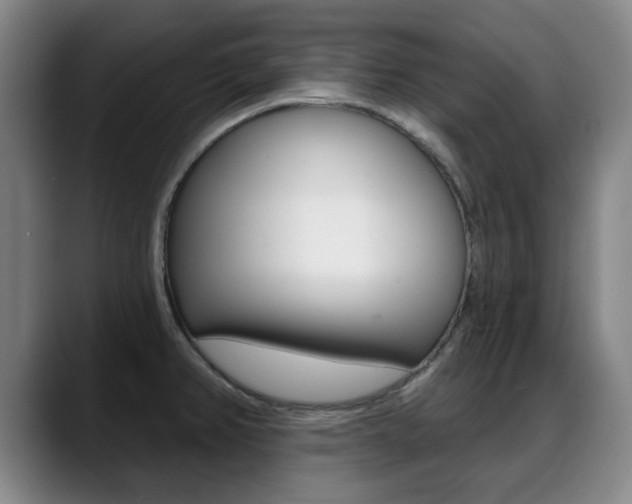 X0000089381382200706150902