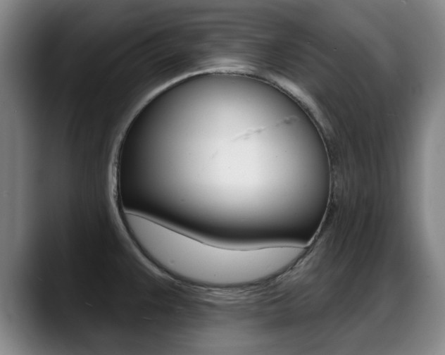 X0000089381383200706150902